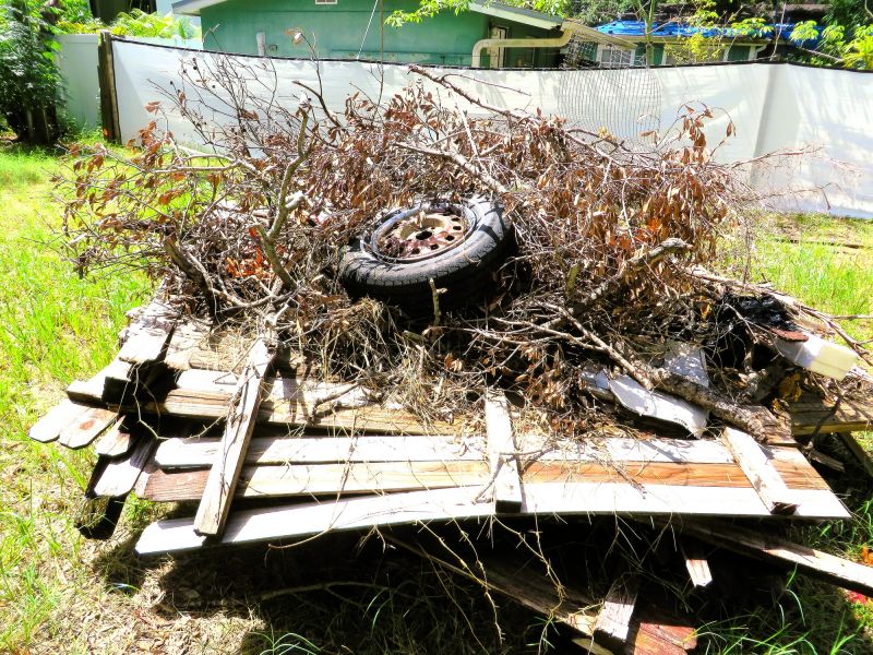 Brush Cleanup Service in Ventura County, CA