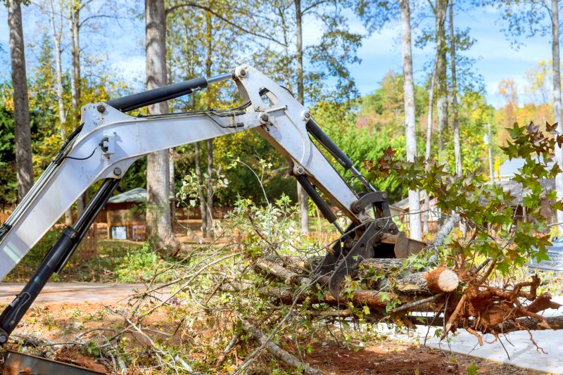 Limbs Removal in Ventura County, CA