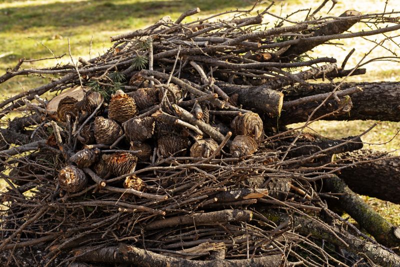Tree Branches Removal in Ventura County, CA