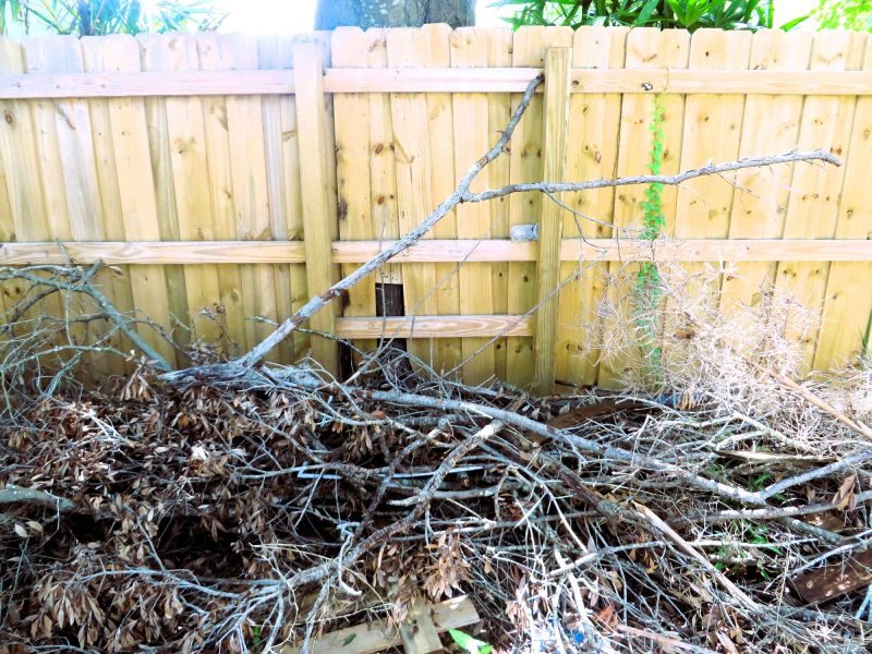 Tree Debris Removal in Ventura County, CA