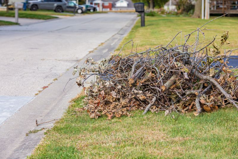 Tree Debris Removal in Ventura County, CA