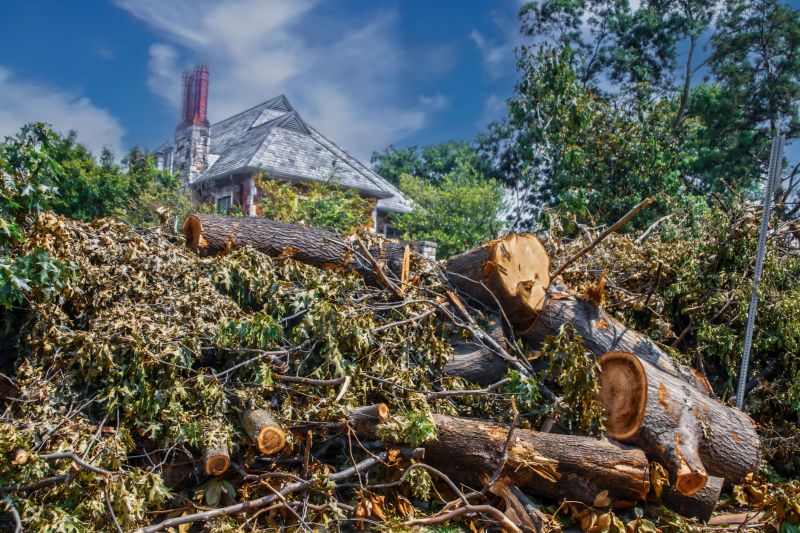 Wood Pile Removal in Ventura County, CA