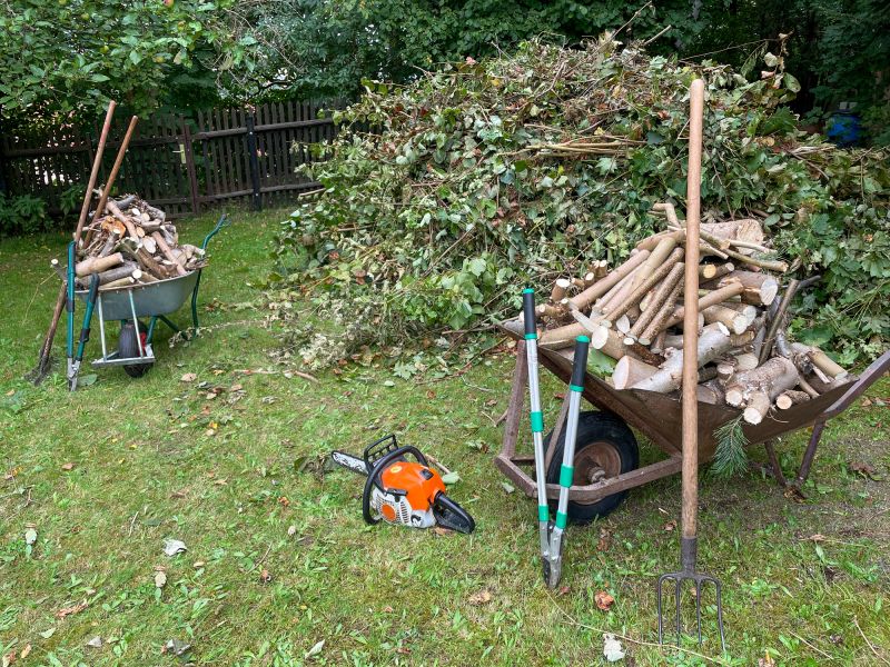 Yard Debris Removal in Ventura County, CA
